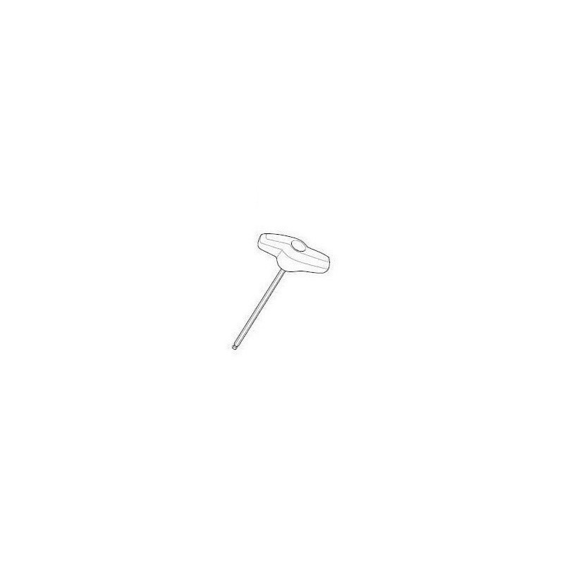 Torque key Thule 55575