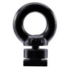 Šrouby s okem Thule Eye Bolt 320