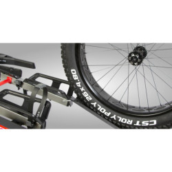 BuzzRack E-Ramp E-Scorpion XL steel