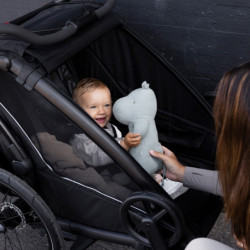 Thule Chariot Sport 2 G3 Double Black