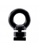 Thule Caprock eye bolt kit